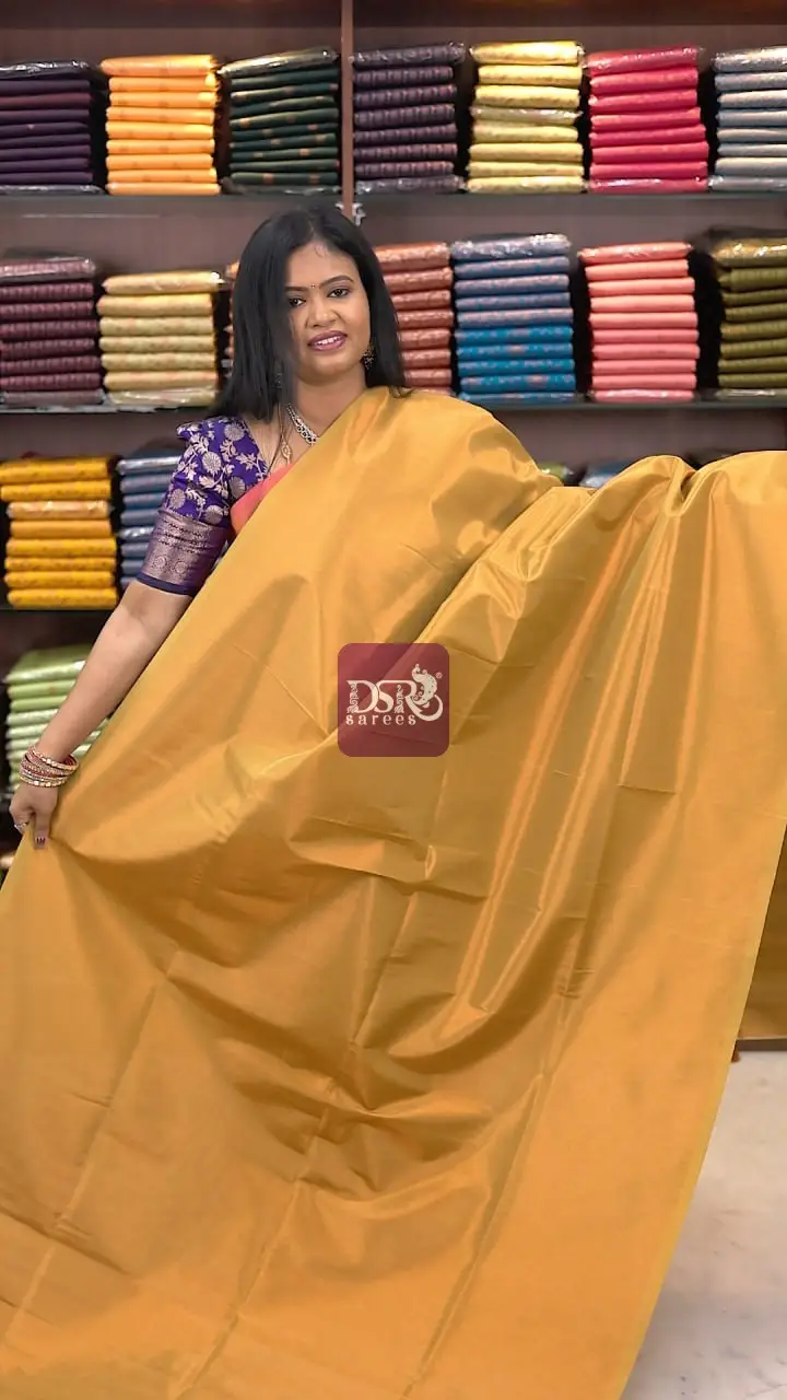 Premium Kanchi Tissue Sarees