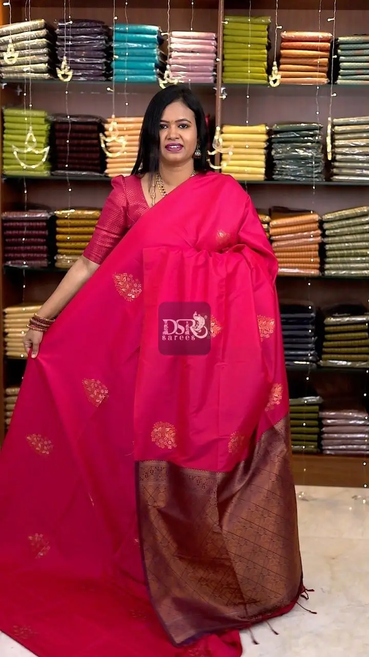 Borderless Luxury Silk sarees