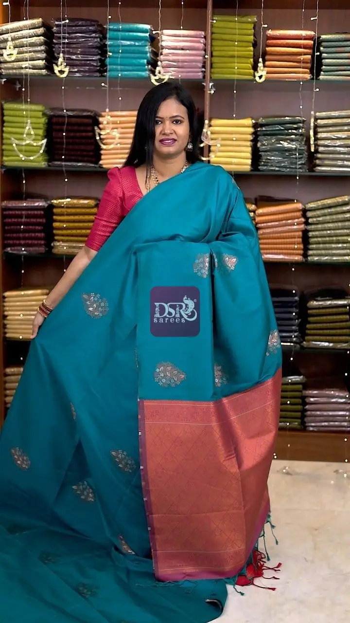 Borderless Luxury Silk sarees