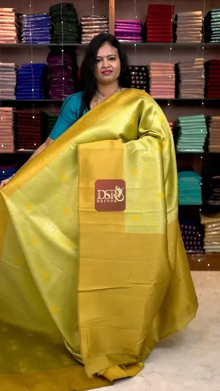 Kanchi Bridal Tissue Saree