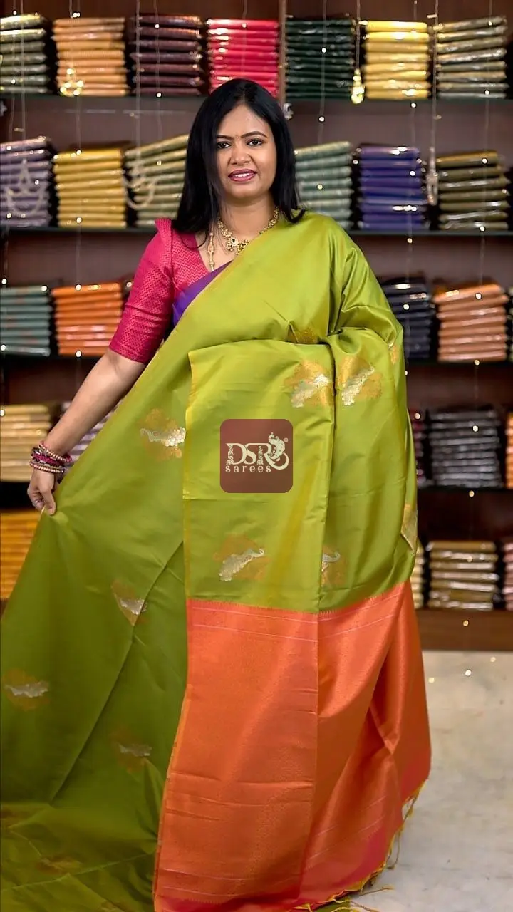 Borderless Luxury Silk sarees