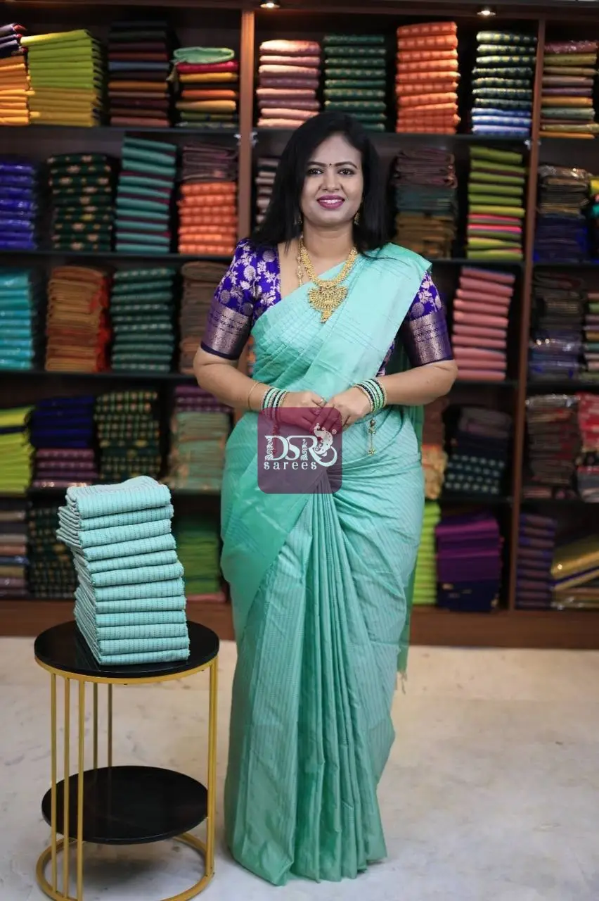 Arani Vairaooshi Saree