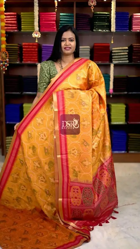 Raw Silk Pochampally Saree