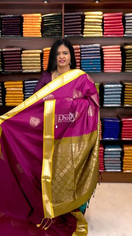 Premium Kalyani Silk Sarees