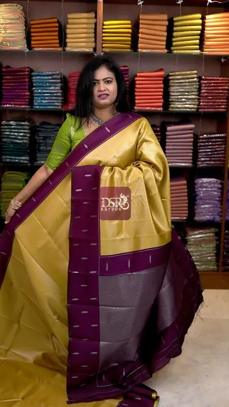 Silver Kanchi Viscose Sarees