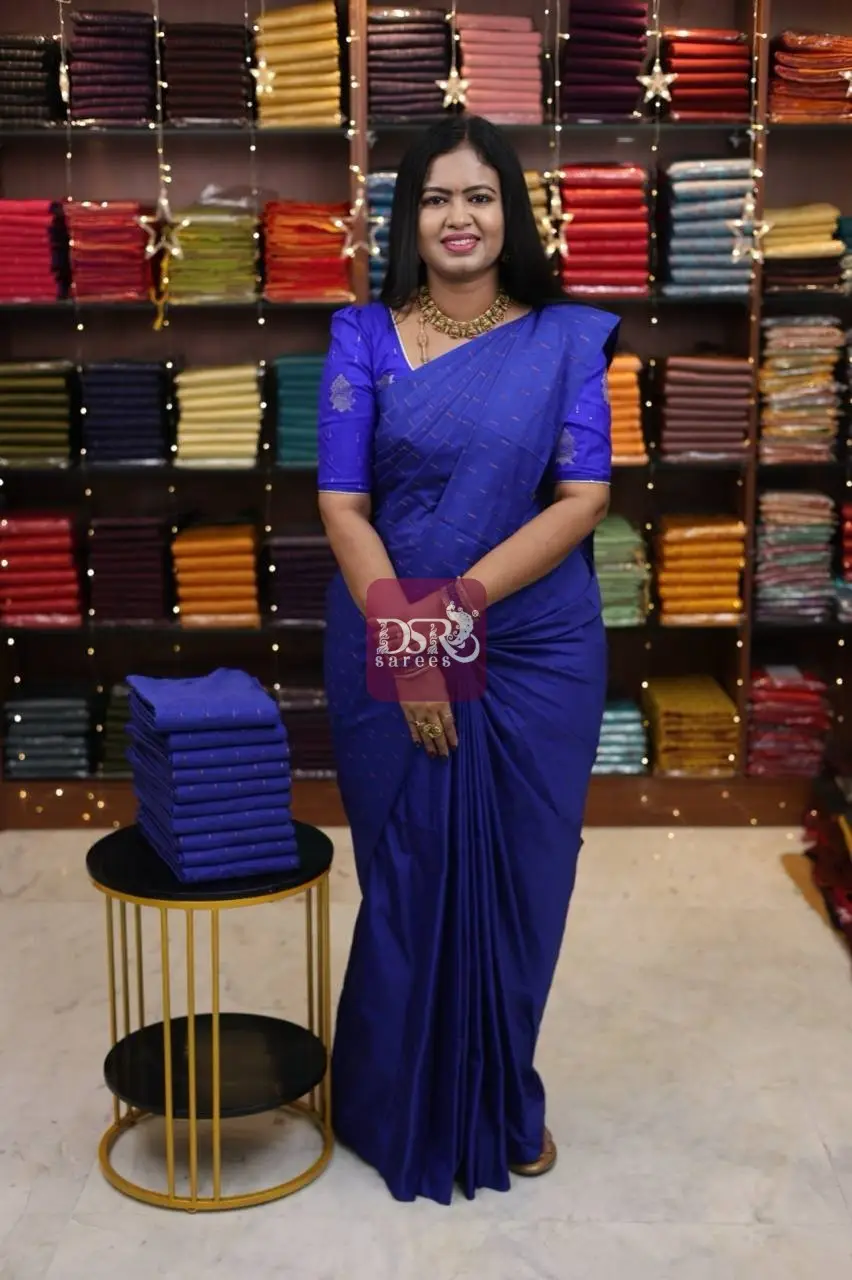 Arani Vairaooshi Saree