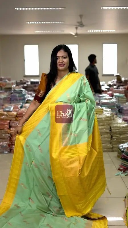 Premium Kanchi Sarees -vol1