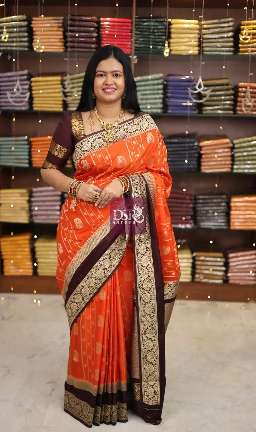 Banarasi Georgette Saree