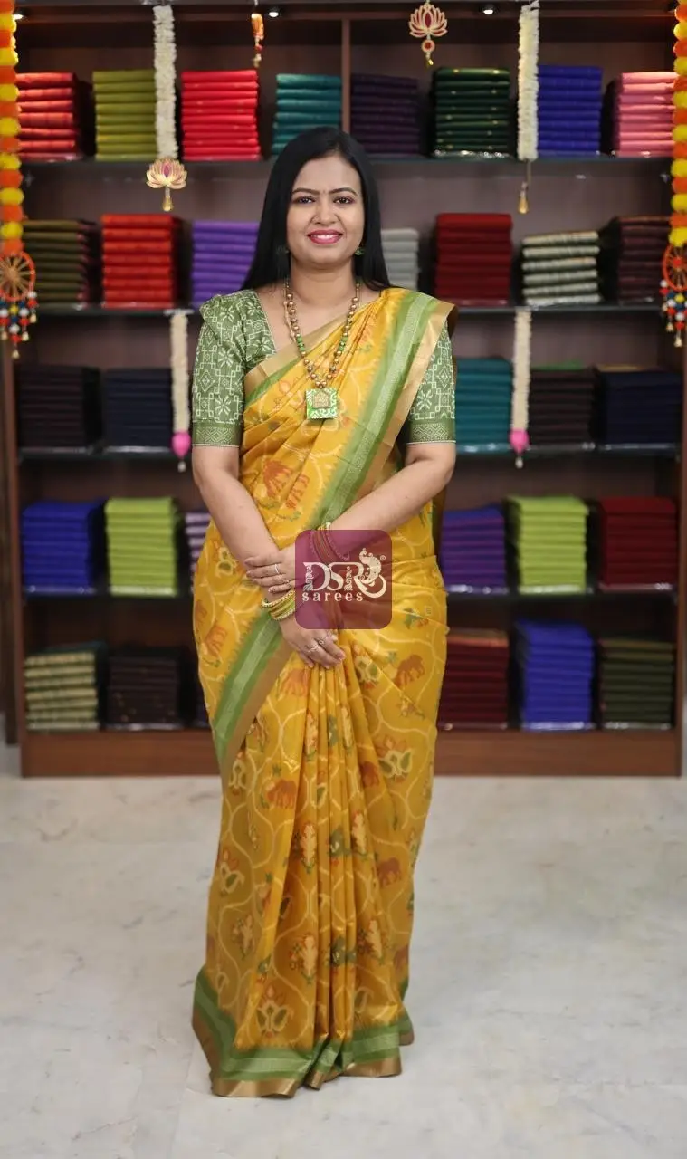 Raw Silk Pochampally Saree