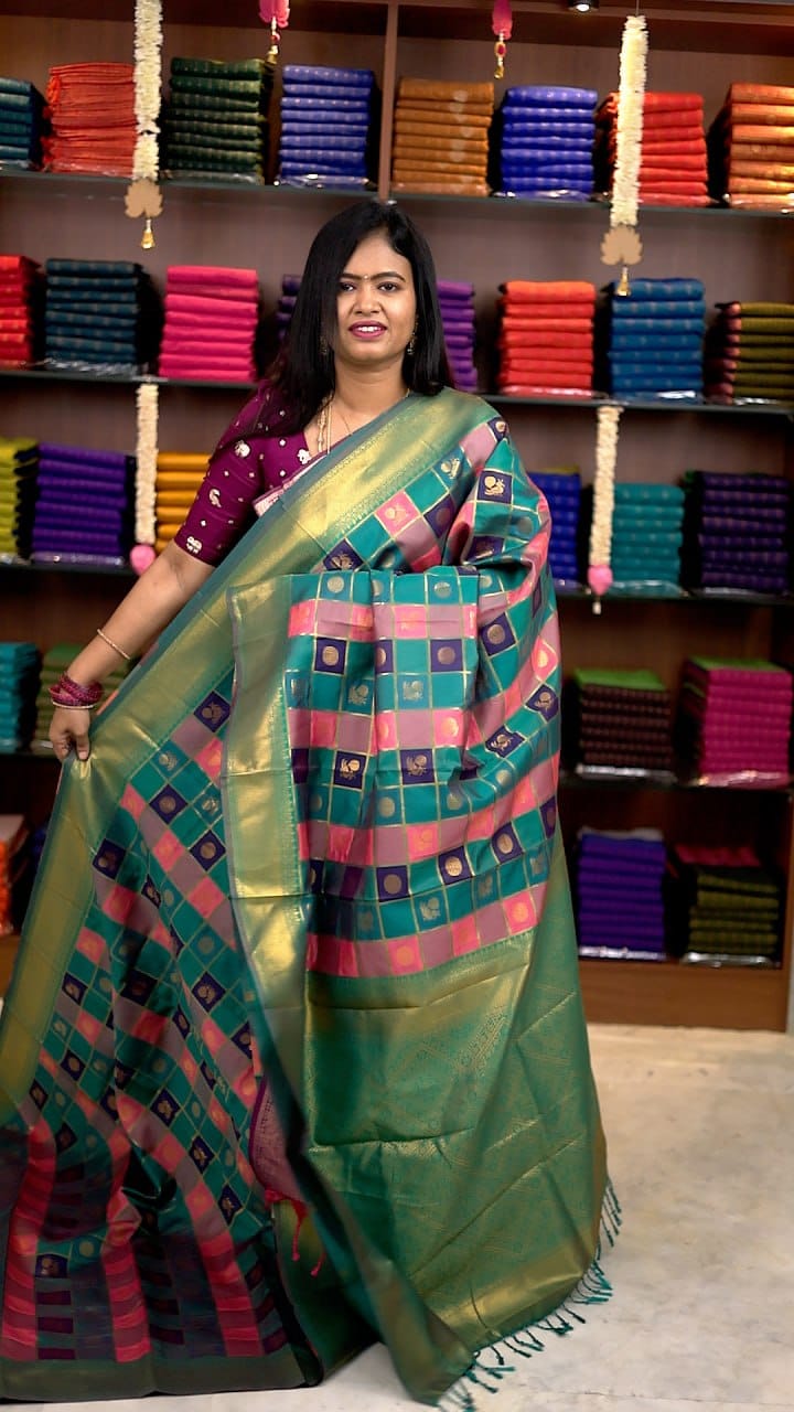 Paalum Pazhamum Silk Saree