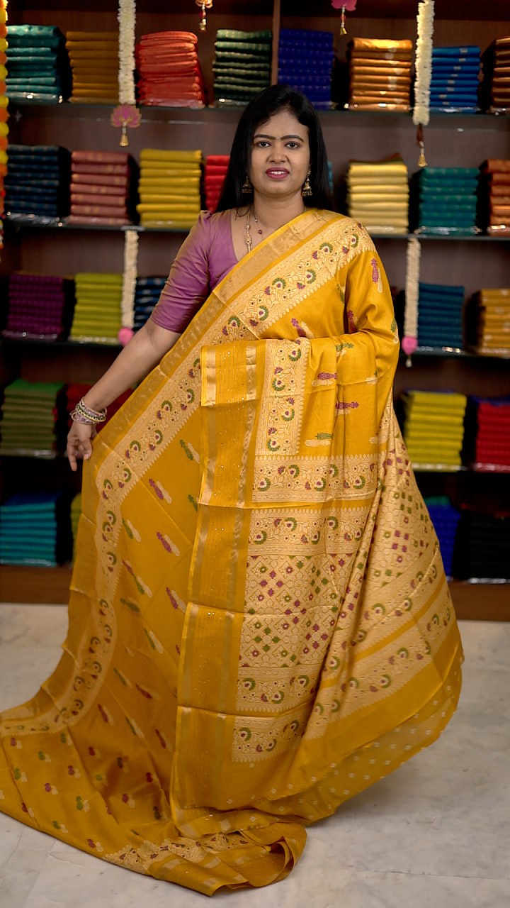 Iconic Border Sequence Sarees