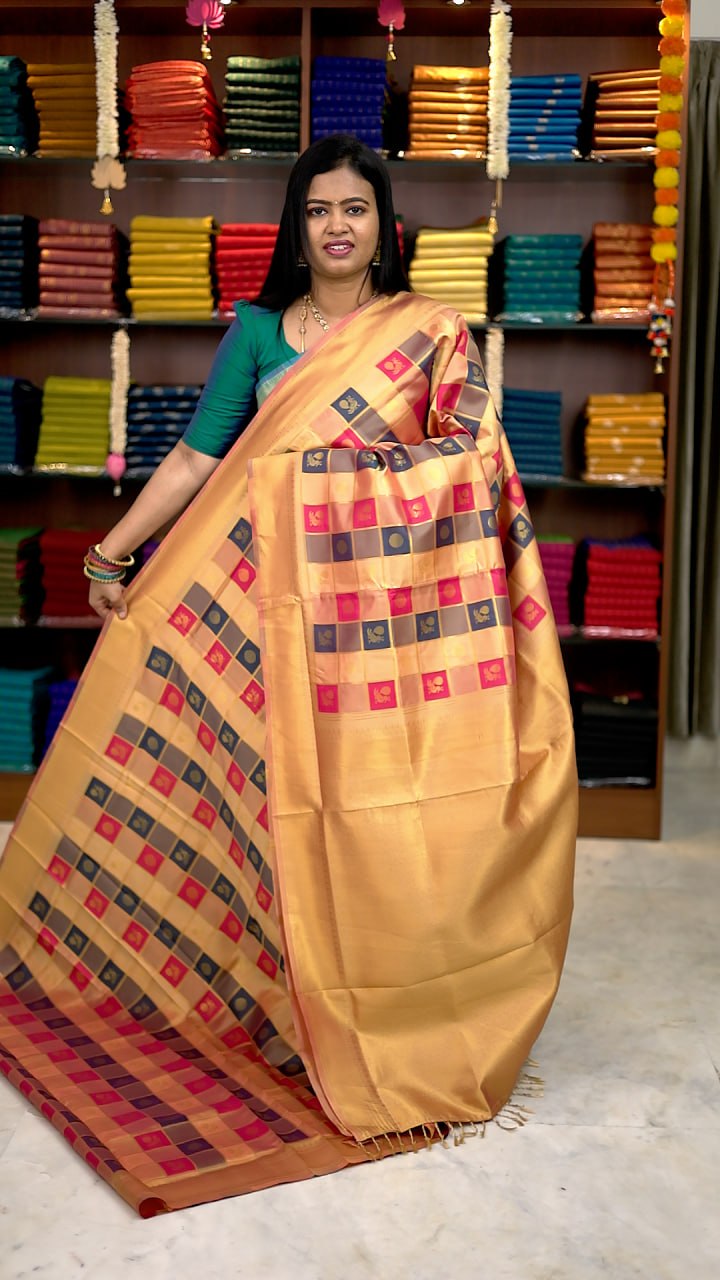 Paalum Pazhamum Silk Saree